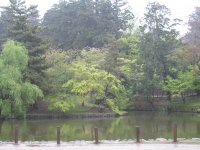 IMG_0664.JPG